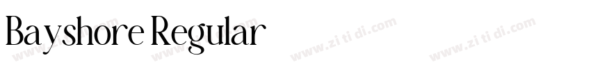 Bayshore Regular字体转换